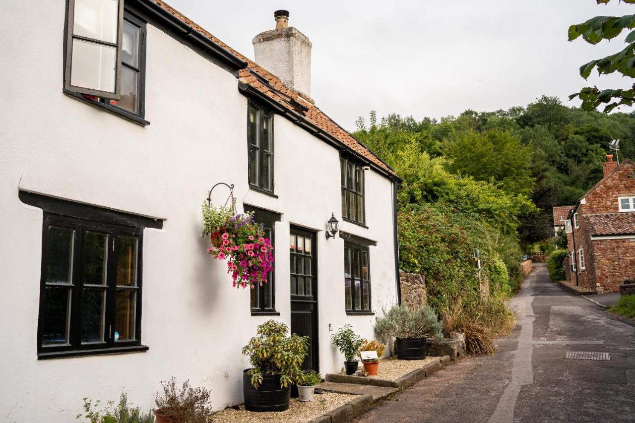 Woodview - Cosy 1840S Cottage In Chew Valley And Mendip Aonb Compton Martin Exterior photo